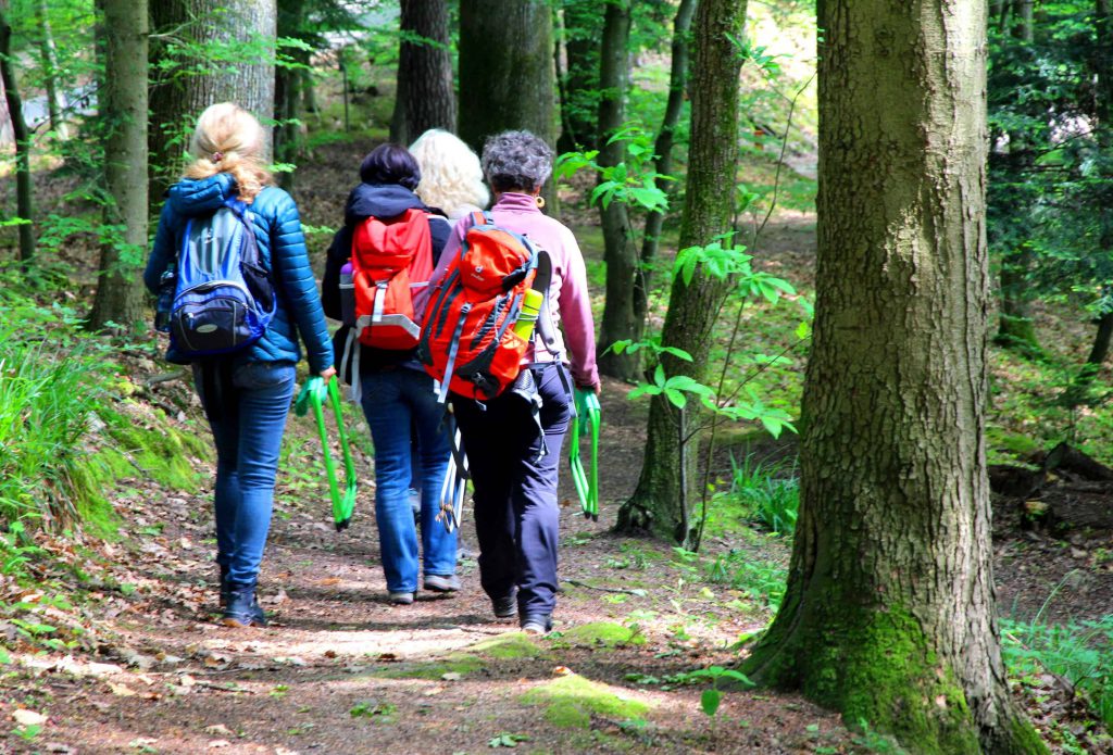 Waldbaden Ausbildung zum Kursleiter